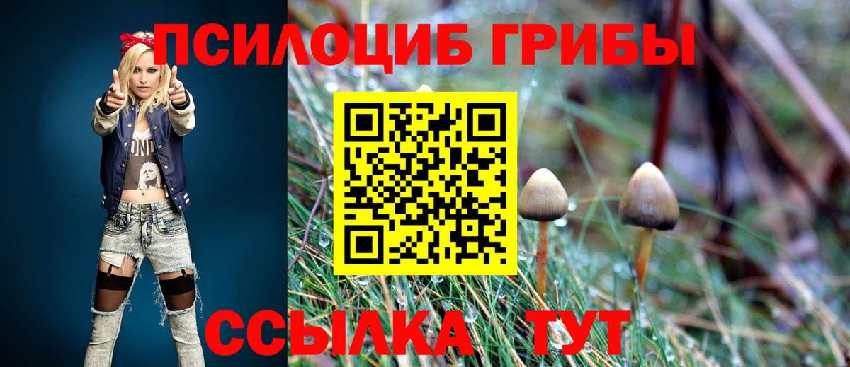 Галлюциногенные грибы MAGIC MUSHROOMS Крымск